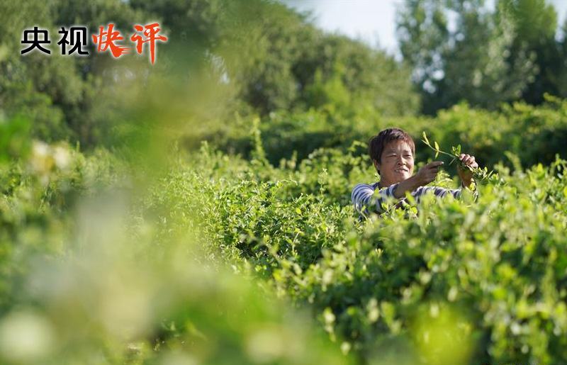 十三届全国人大三次会议胜利闭幕